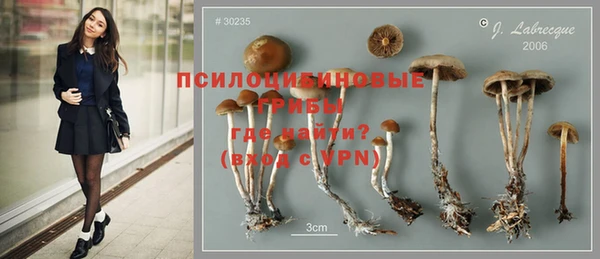 дживик Алексеевка