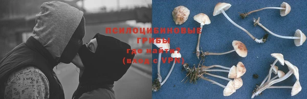 СК Алексин