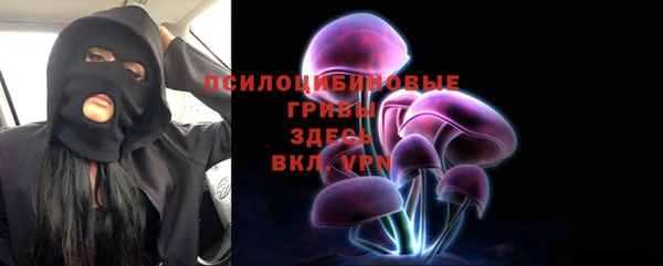 дживик Алексеевка