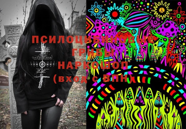 дживик Алексеевка