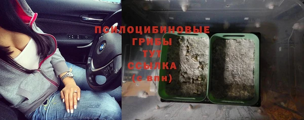 СК Алексин